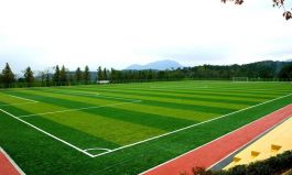 Преимущества искусственного газона для футбола